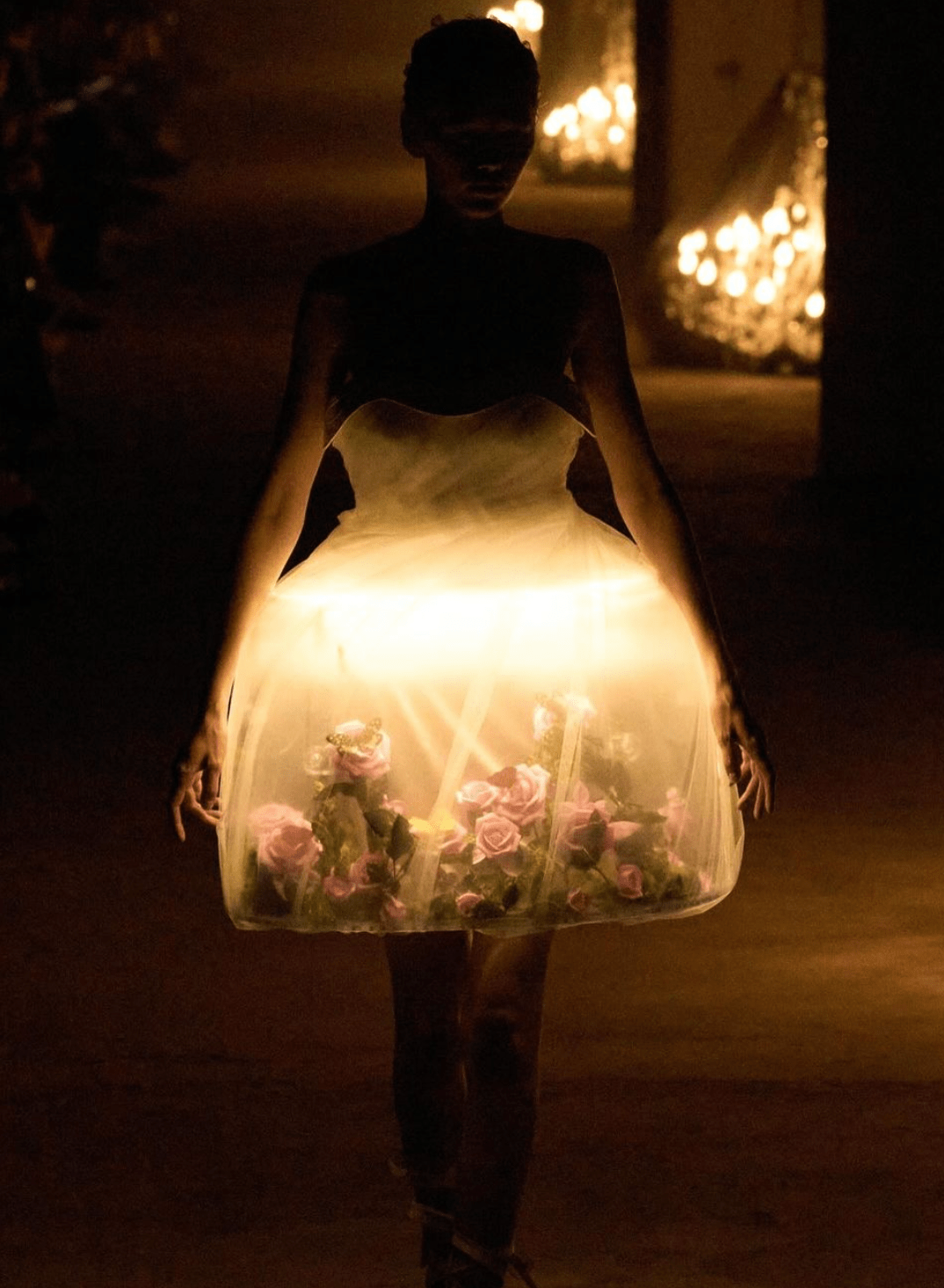 Spring Roses |&nbsp;Lightlark