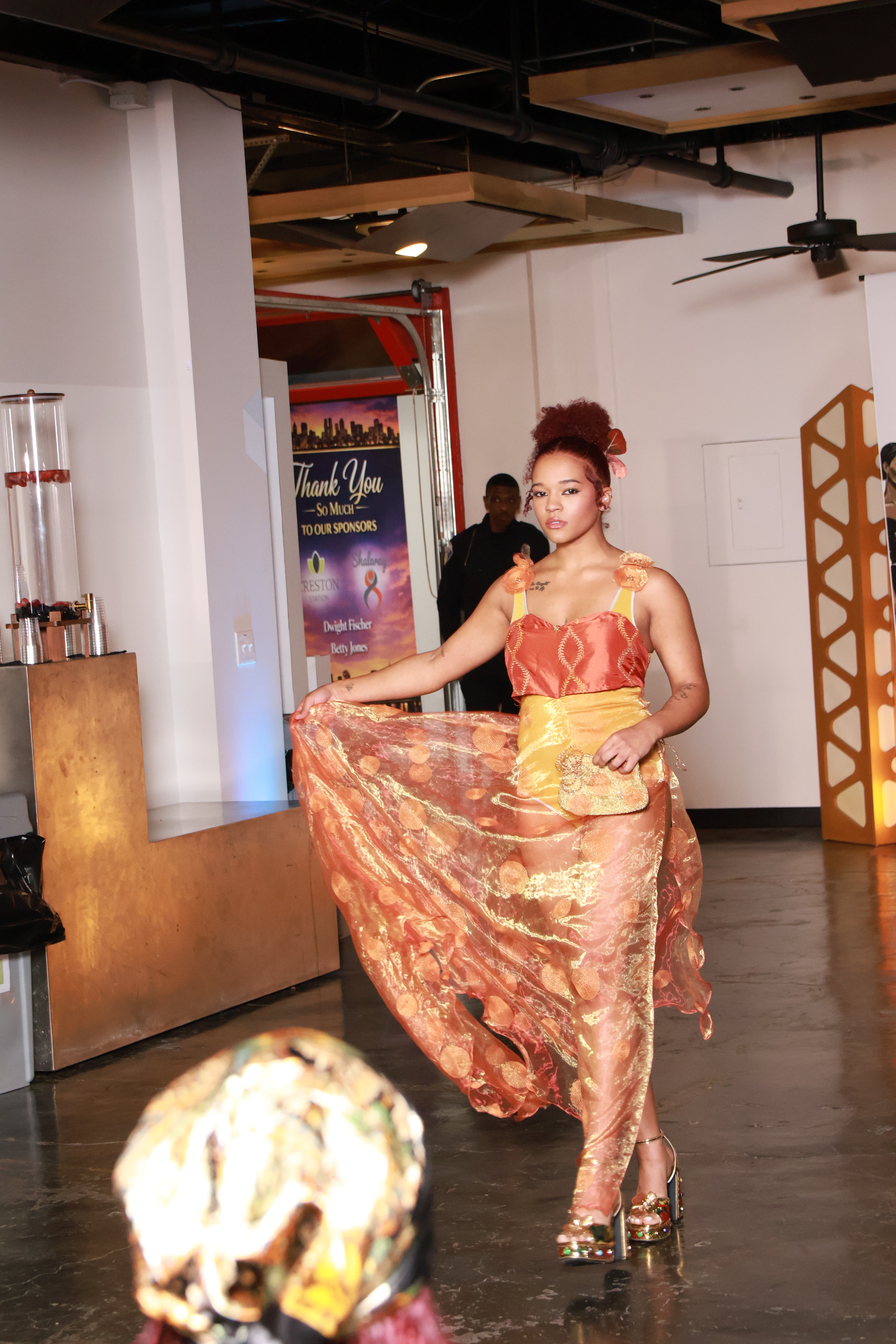 Carson's Silhouette Dreams